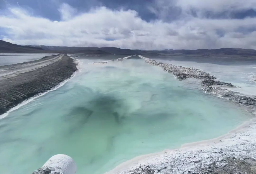 ǿǿŽᣬƻκɫۺϿʹ--κɫۺϿʹαŽʵ