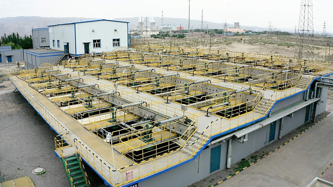 ҫ | ںbeats365ɹ2023ƼСҵ