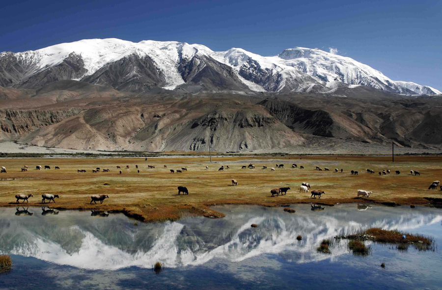 ͷ | ĵͭ󣬣÷beats365Ӫҵ½ṹ