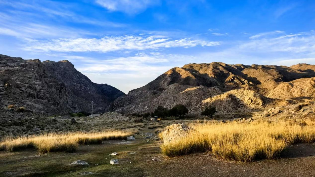 beats365 | ˶ۣ+ҵˮóͷ+ǻۻάͷ